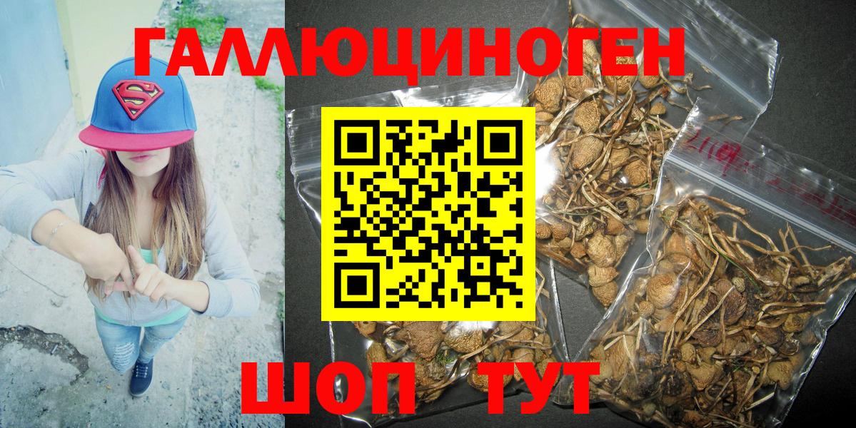 Апатиты  Галлюциногенные грибы Psilocybine cubensis  Вход с VPN  Галлюциногенные грибы Cubensis 
